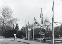171132 Afbeelding van de vlaggen op het plein aan de Zeister zijde van het N.S.-station Driebergen-Zeist te ...